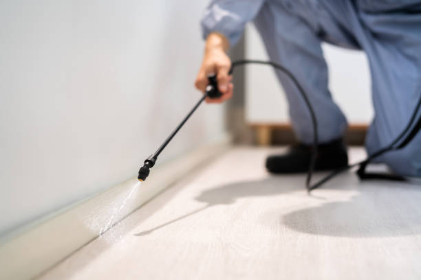 Licensed Fumigation Services service in Highland Springs, VA - Nex Pest Control