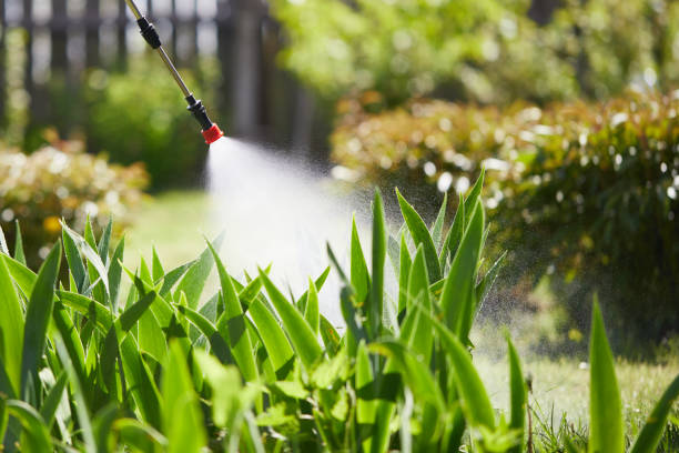 24/7 Emergency Fumigation Services experts in Highland Springs, VA