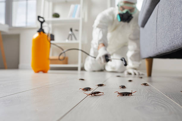Trusted Fumigation Services service in Highland Springs, VA - Nex Pest Control