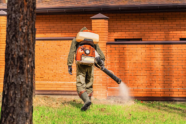 Trusted Termite Control service in Highland Springs, VA - Nex Pest Control